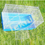 Small Animal Cages